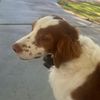 lemmy_saint_john