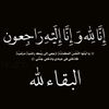 user5672726338409