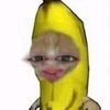 allo_o1