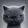 user9040462760812