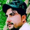 zaib8592