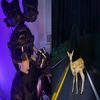 callsigndeer