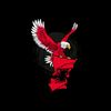 albanian_023