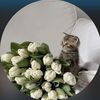 راء ..