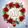sheraz.ali.parhar7