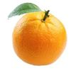 appleuser1jkthisajoke