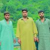 ali.dogar6763