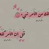 user8804767368373