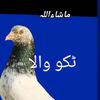 zain.jutt5919