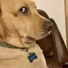 scoobysballsack