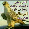 user2681778379022