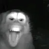 isimsiz.im2
