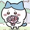 Chiikawadailypost