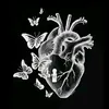 user227428814