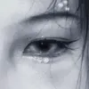 pt8112