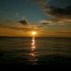 manusia_24789351