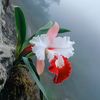 shakil.693