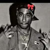 tu0pac.1
