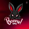 banny.ch3p4