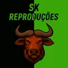 sk_repr0c0es