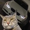 bmwlovers301