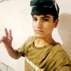 user9538841811186