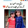 riazmuhammad513