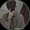voicehridoy0