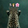 queensalmo00