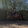 Ava