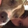 saveapuppy