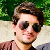 Anas bacha