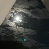 p_xo22