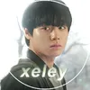 xeleyediting