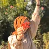 hazanmahamad11