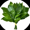 vy.tng9094