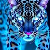 user51028443698030
