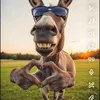 jana.alkhatib8