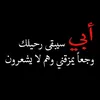 user49740565738545