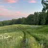 maksim_562810