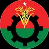marjan.elahi2