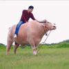 Buffalover