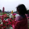 ratu_dubai6