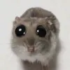 homiescek