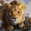 leone11226