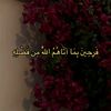 noorgamal475