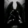 fourrat.yassine