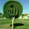 user19281095293982