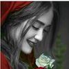 user77344195566161