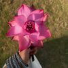numan.ahmed5166